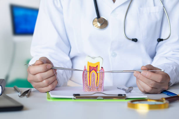Best Cosmetic Emergency Dentistry in New Carrollton, MD